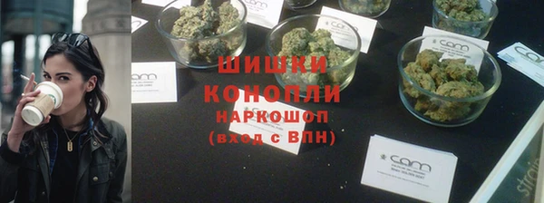 PSILOCYBIN Алзамай